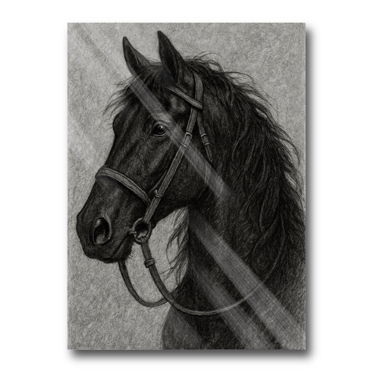 Black Horse Ilustration
