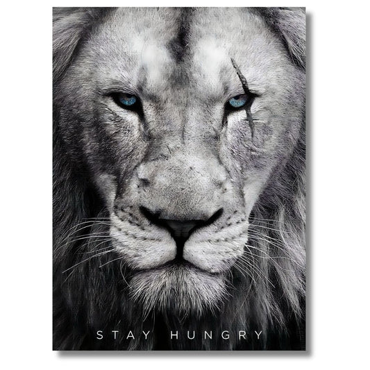 Stay Hungry