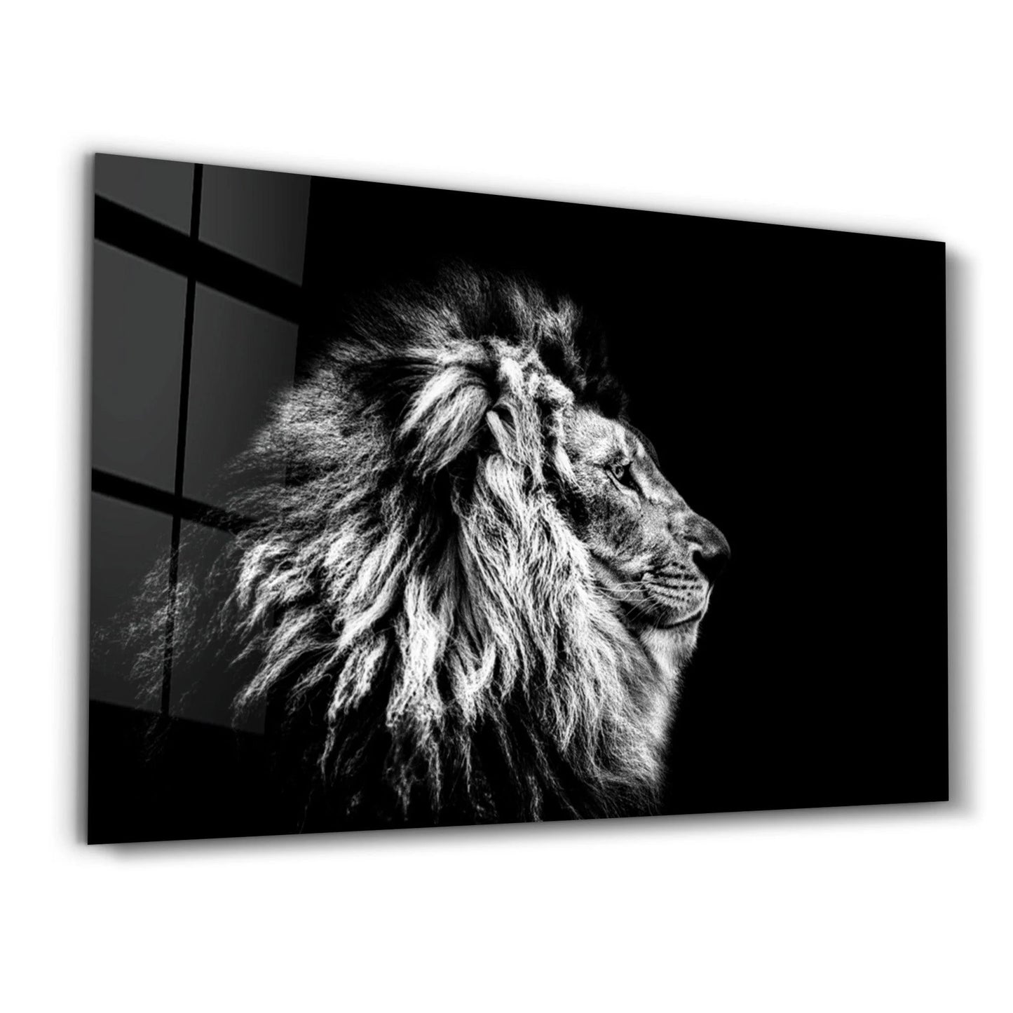 Lion’s Profile