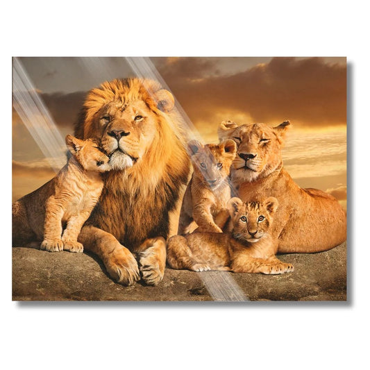 Lion Family