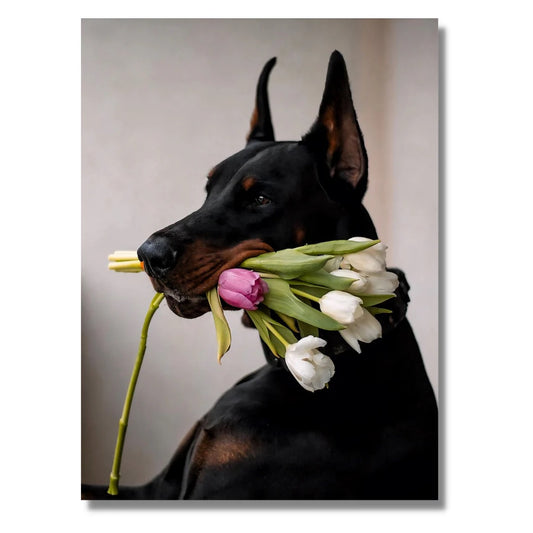 Doberman’s Tulips