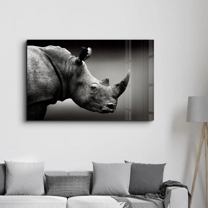 Rhinoceros