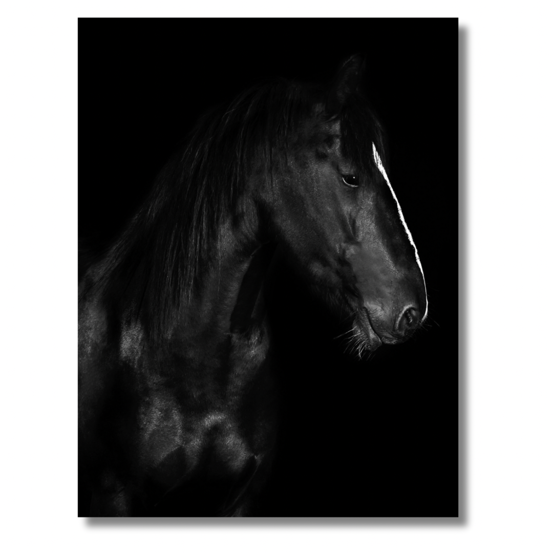 Black Horse