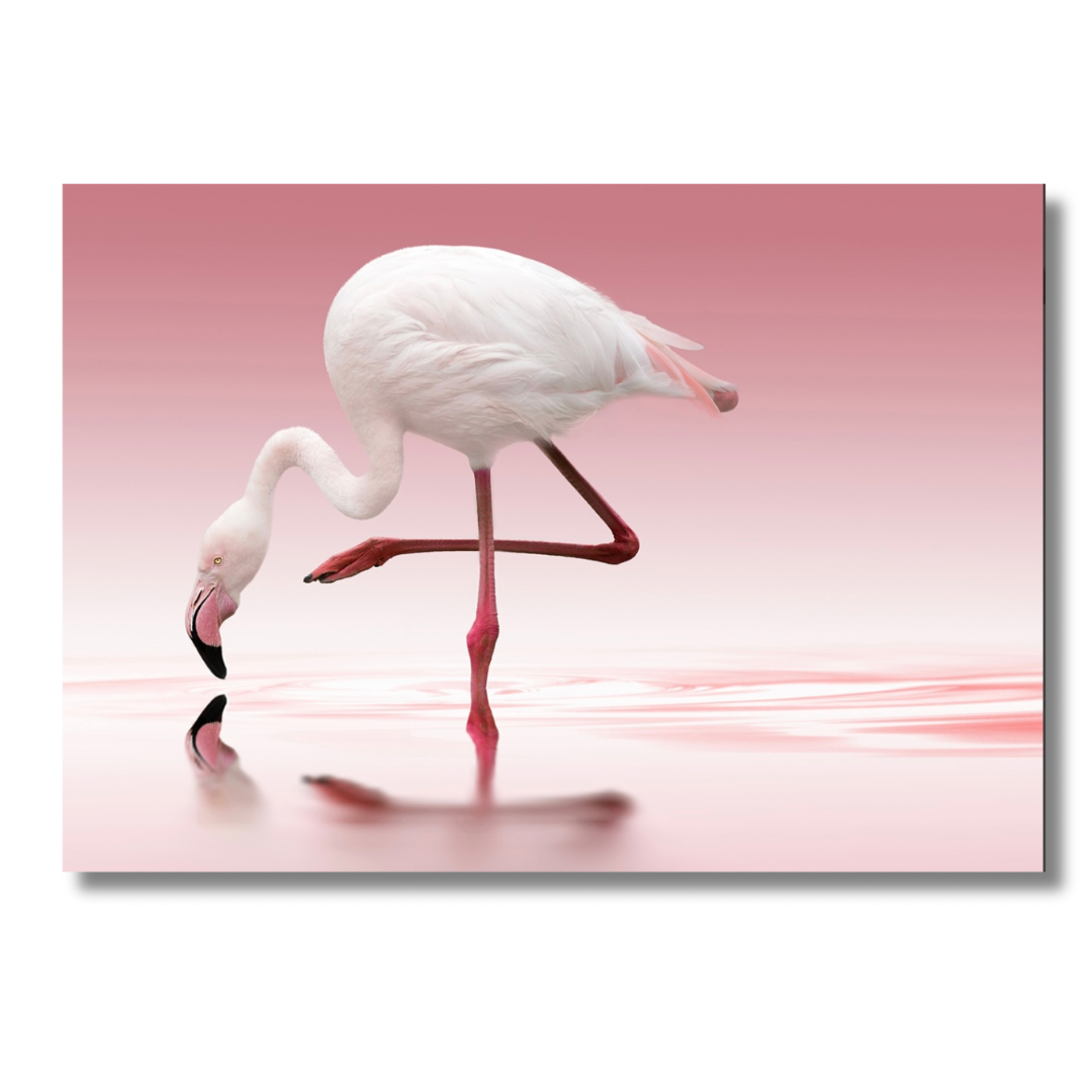 Drinking Flamingo