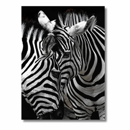 Zebra’s Hug