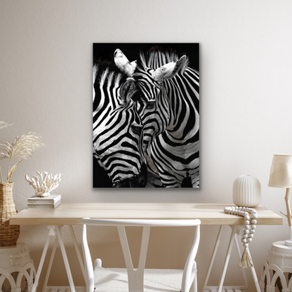 Zebra’s Hug