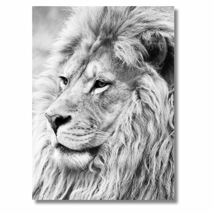 Black and White Lion