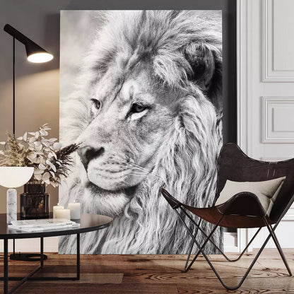 Black and White Lion