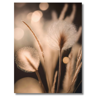 Eriophorum