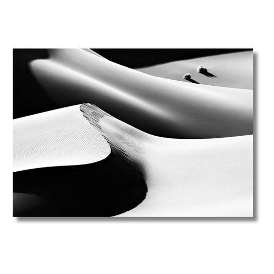 Black and White Sands