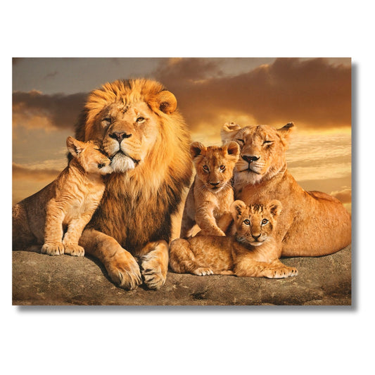 Lion Family