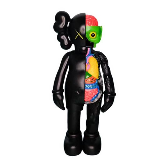 Kaws Anatomy Black