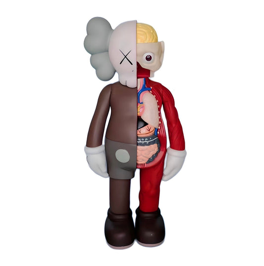 Kaws Anatomy Brown