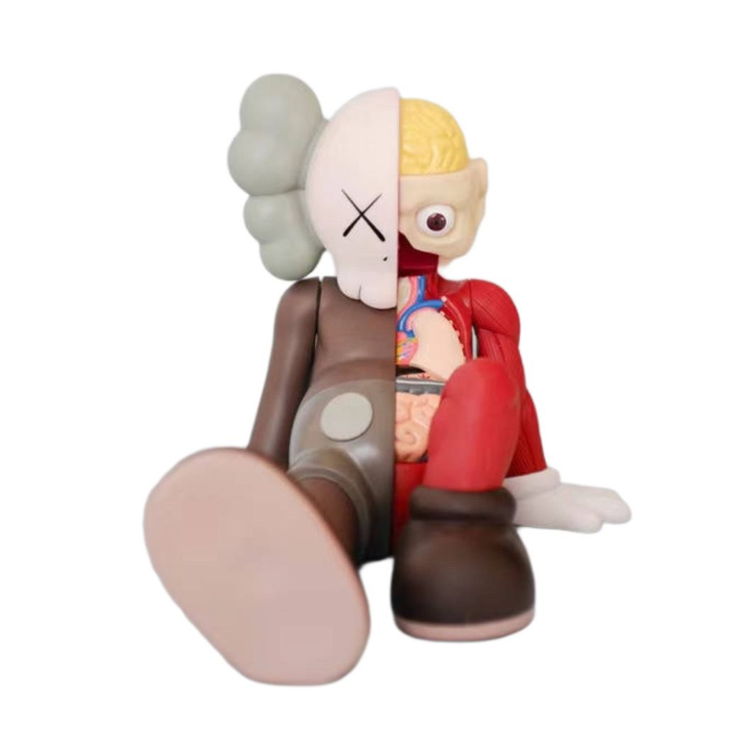 Kaws Sit Anatomy Brown